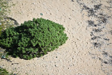 沖縄の果報バンタのエメラルドグリーンの海と青い空とぬちの浜	