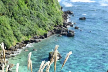 沖縄の果報バンタのエメラルドグリーンの海と青い空とススキ