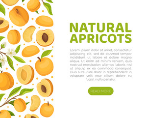 Apricot Card Design with Ripe Fruit Vector Template