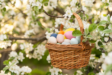 Happy Easter. Basket with Easter eggs in grass on a sunny spring day - Easter decoration, banner, panorama, background with copy space for text