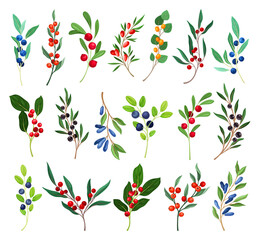 Berry Twig and Branch with Small Fruits and Green Leaf Stalk Big Vector Set