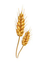 Hand-painted golden wheat grain wheat