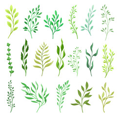 Naklejka premium Floral Branches and Twigs with Leafy Stalk or Stem Big Vector Set