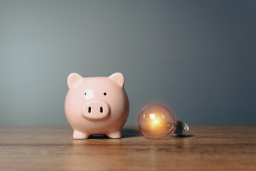Fototapeta na wymiar Piggy bank and light bulb