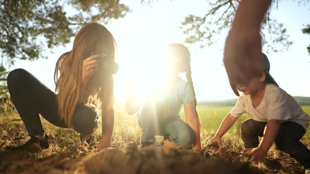 group of team children in the forest. a team of young children exploring the forest in the park. happy family kid concept. people in the park. children in dream the children camp travel in the forest