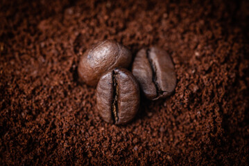 Three roasted coffee beans lie on a bed of ground coffee. Macro photo close up. Cafe.