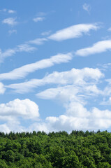 Rural landscape with green forest, blue sky and clouds