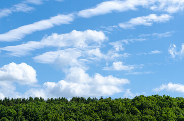 Rural landscape with green forest, blue sky and clouds