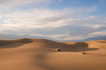 mesquite flat sand dunes