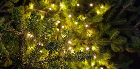 Christmas tree and Xmas lights decoration close up, copy space.
