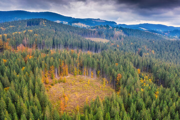 Destruction of the forest cover high in the mountains of Ukraine.