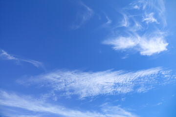 Naklejka na ściany i meble 青空に白い雲
