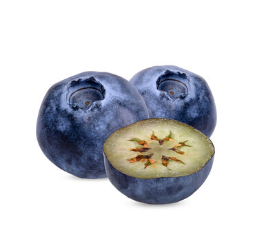 Fresh blueberry isolated on transparent background (.PNG)