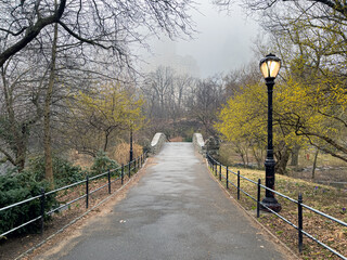 Gapstow-brug in Central Park