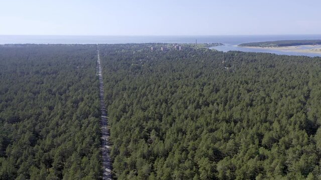 Bird's-eye view of the forest road to the coast of the Gulf of Finland in Narva Yuesuu (Ust Narva). Narva bay. Estonia.