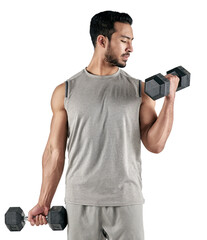 PNG studio shot of a muscular young man exercising with dumbbells.