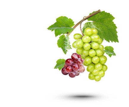 Water splash on fresh  grape with leaves isolated on transparent background (.PNG)