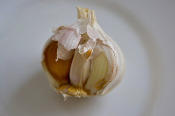 garlic on a white background
