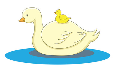 duck and little duck