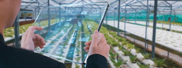 Futuristic smart agriculture,businessman using smart tablet,organic vegetable house production...