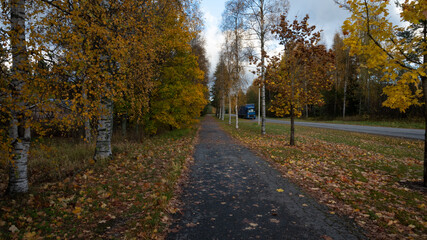 sidewalk in autumn