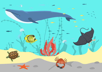 Sea water, ocean fish concept, vector illustration, underwater marine, animal life in tropical reef nature, whale, stingray, crab and turtle.