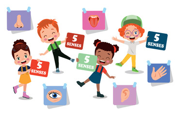 Five Senses Concept With Human Organs