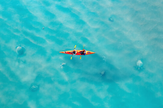 Tourists are sailing on kayak boat on blue water and look at animal sea turtles. Concept adventure trip tours Turkey