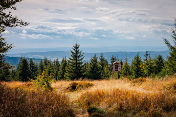 Landscape in the mountains in autumn