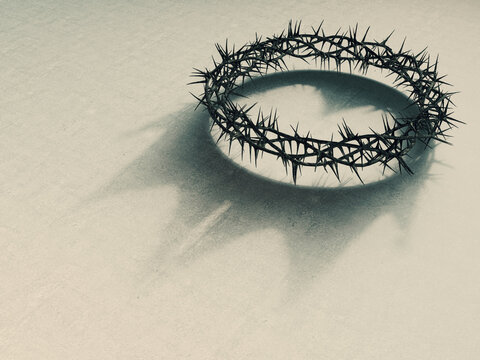 Crown Of Thorns With Royal Shadow