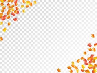Maple leaves vector illustration, autumn foliage on transparent background.