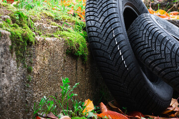 Fototapeta na wymiar Pair of brand new all weather tires lying on wet asphalt covered in fallen golden leaves and green moss in rainy autumn season.