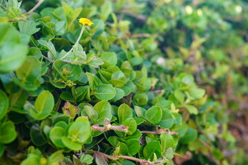 Summer day in Netanya in Israel