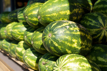 Watermelons on the market. Ripe green fresh watermelons on the counter of an eco farmer's market