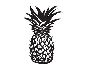 Pineapple hand drawn illustrations, vector.