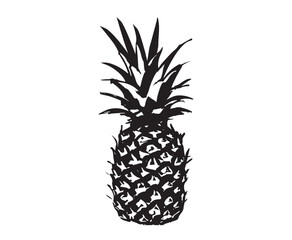 Pineapple hand drawn illustrations, vector.