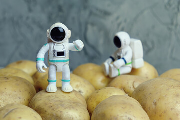 Plastic figurines of an astronauts in a spacesuit stands on the potato. Children's toys astronauts. Fascination with space. Concept of eating vegetables, promoting healthy eating among children.