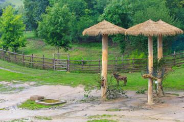 Rustic canopies from the rain. Background with selective focus