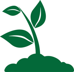 Plant icon, plant growing icon vector