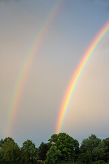 part of a double rainbow over green trees