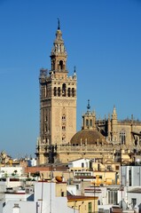 Fototapeta na wymiar Torre de la Giralda, Catedral de Sevilla