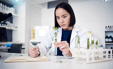 Obraz na płótnie Canvas Plant, science and test tube with a woman botanist working on a scientific breakthrough in the lab. Laboratory, botany and ecology experiment with herbal medicine and innovation using plants