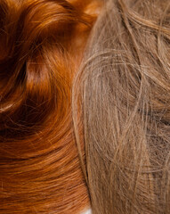 Naklejka premium Dyed and natural women's hair, close up