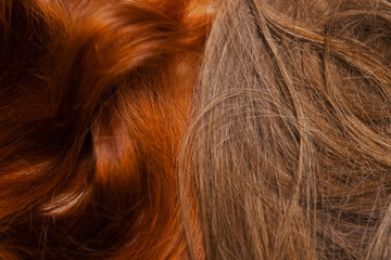 Naklejka premium Dyed and natural women's hair, close up