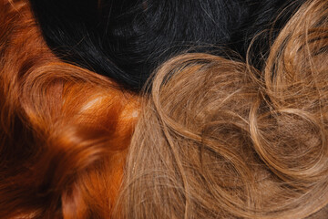 Naklejka premium Dyed and natural women's hair, close up