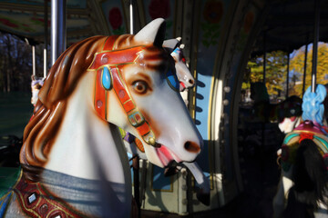 Fototapeta na wymiar a merry-go-round horse