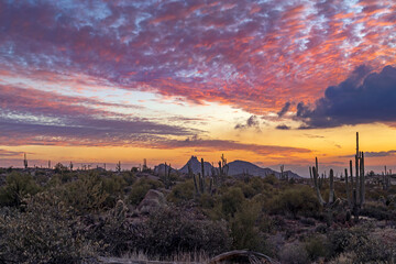 Scottsdale AZ Sunset View With PInnacle Peak In Background