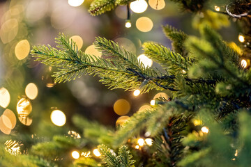 Pine tree with nice bokeh on the background from lights