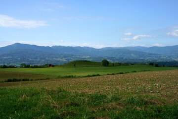 Fototapeta premium Road near Villiago and Sedico, Belluno province