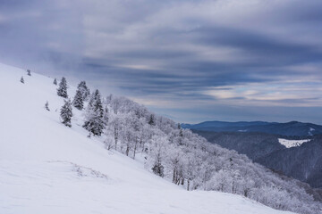 Fototapeta na wymiar Mountain slopes covered with trees. Winter mountain landscape.